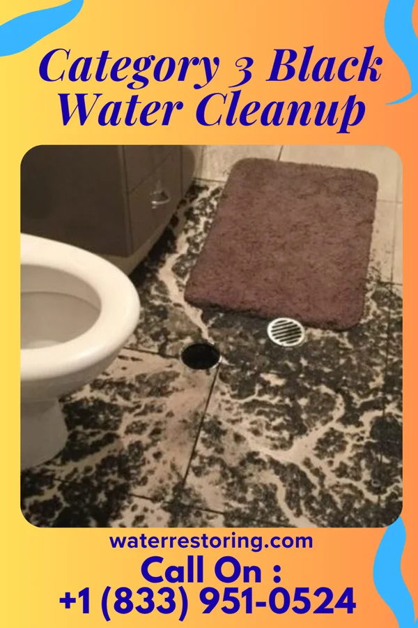 Category 3 Black Water Cleanup in Neuse Forest, NC